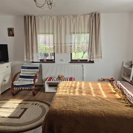 فيلا Casa Bunicilor Ciprian Porumbescu المظهر الخارجي الصورة