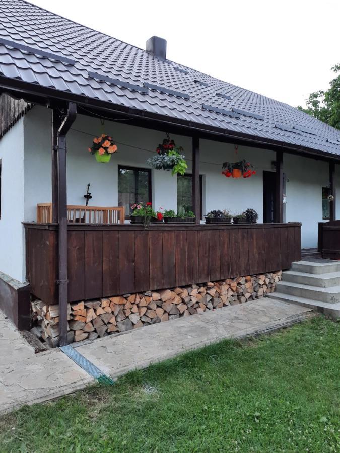 فيلا Casa Bunicilor Ciprian Porumbescu المظهر الخارجي الصورة