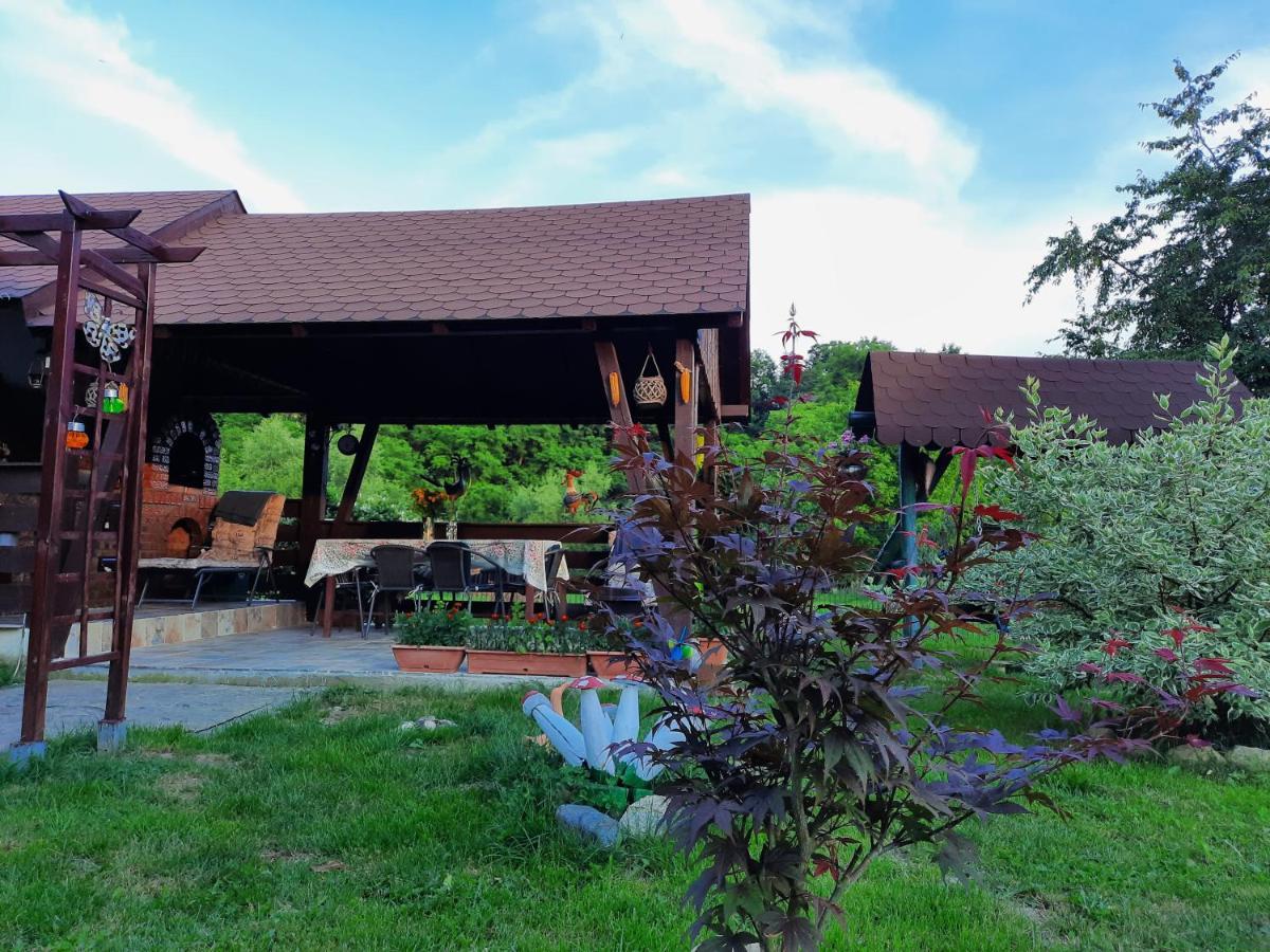 فيلا Casa Bunicilor Ciprian Porumbescu المظهر الخارجي الصورة