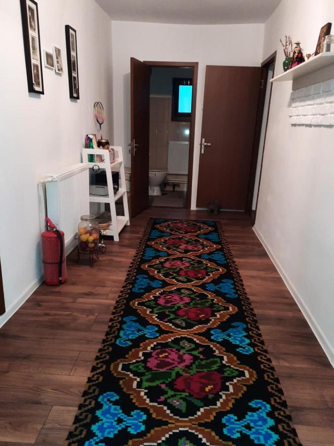 فيلا Casa Bunicilor Ciprian Porumbescu المظهر الخارجي الصورة
