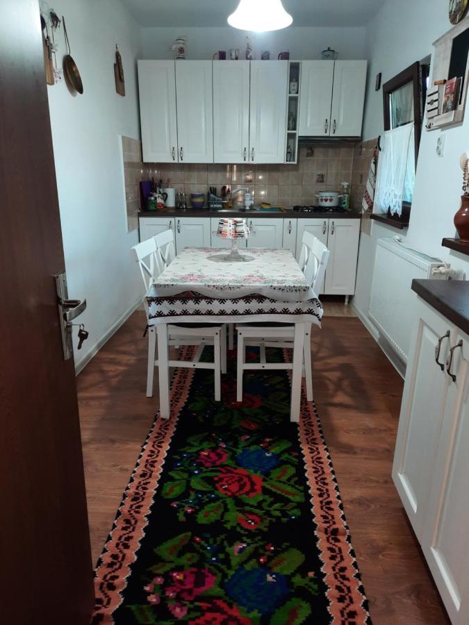 فيلا Casa Bunicilor Ciprian Porumbescu المظهر الخارجي الصورة
