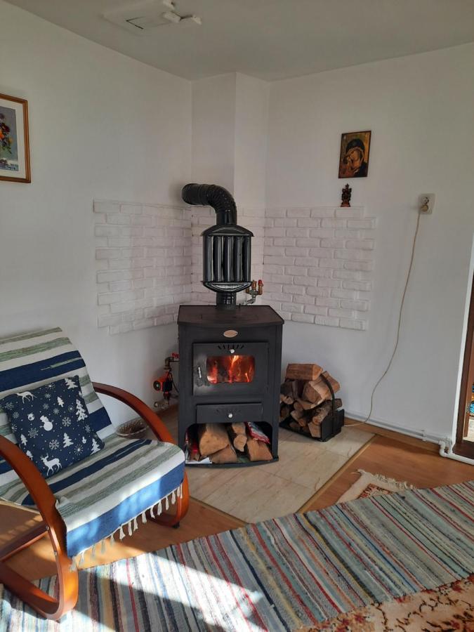 فيلا Casa Bunicilor Ciprian Porumbescu المظهر الخارجي الصورة