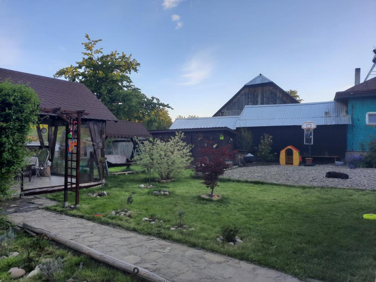 فيلا Casa Bunicilor Ciprian Porumbescu المظهر الخارجي الصورة