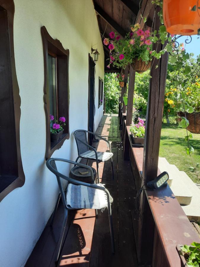 فيلا Casa Bunicilor Ciprian Porumbescu المظهر الخارجي الصورة