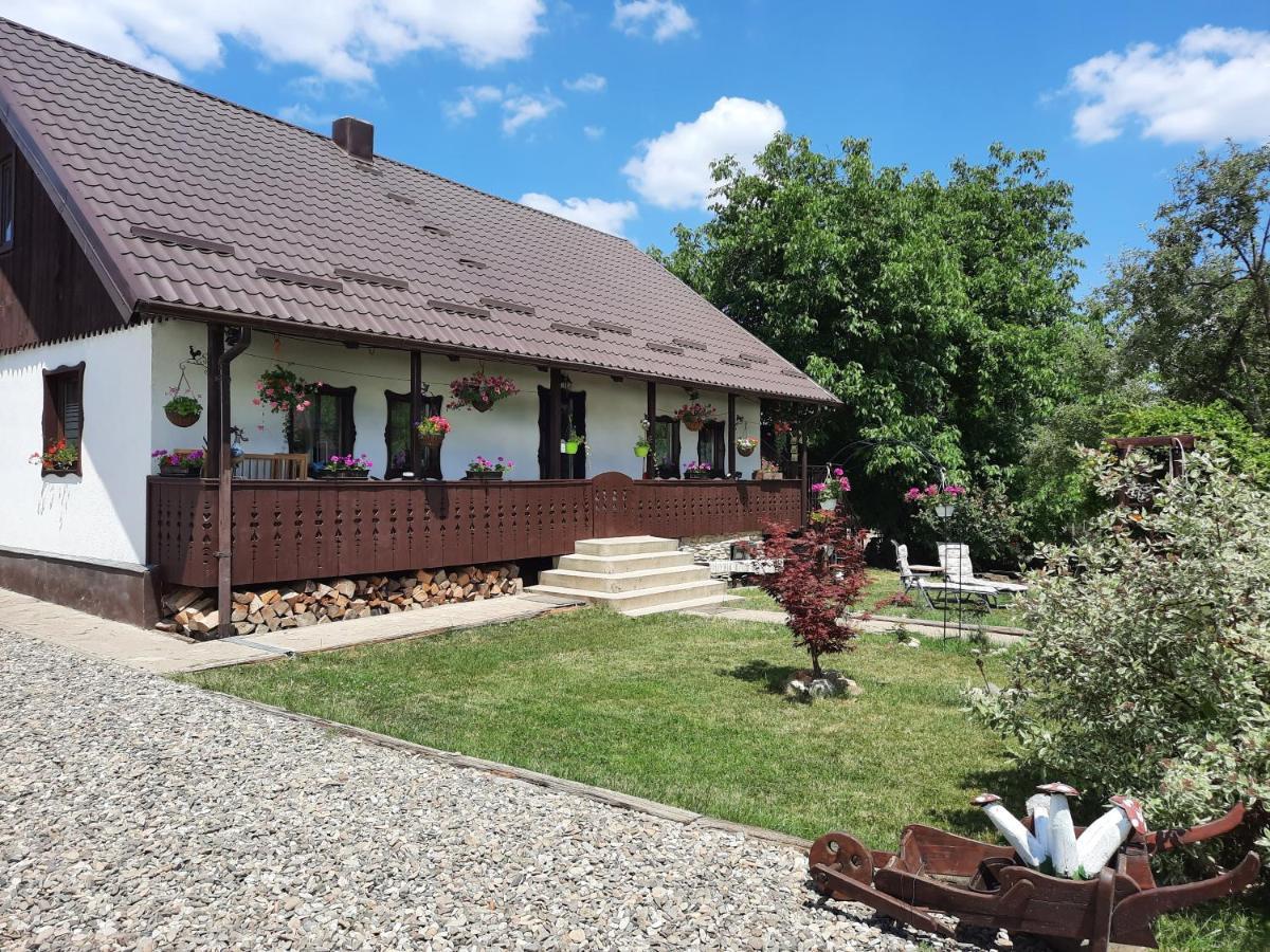فيلا Casa Bunicilor Ciprian Porumbescu المظهر الخارجي الصورة