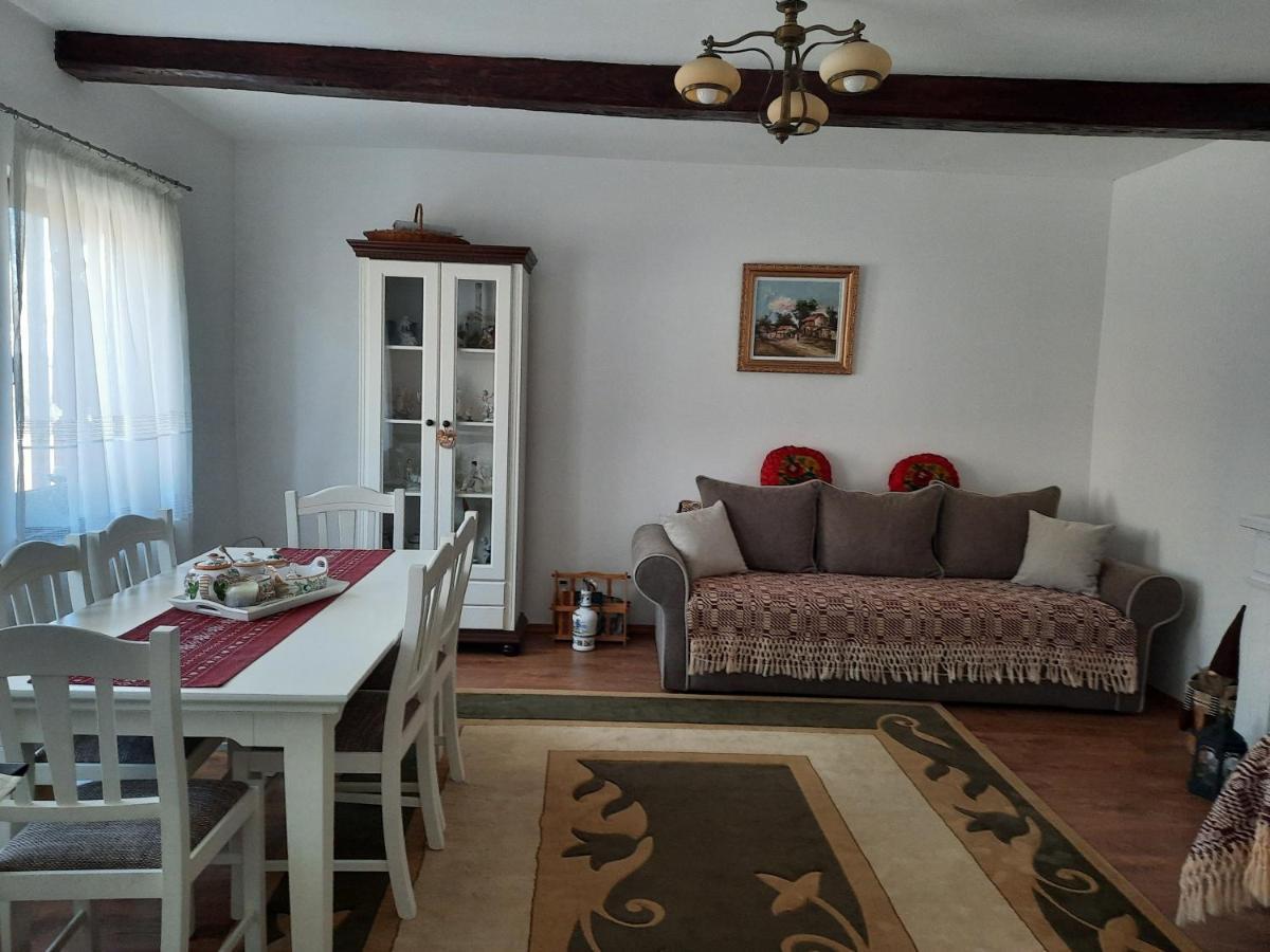 فيلا Casa Bunicilor Ciprian Porumbescu المظهر الخارجي الصورة
