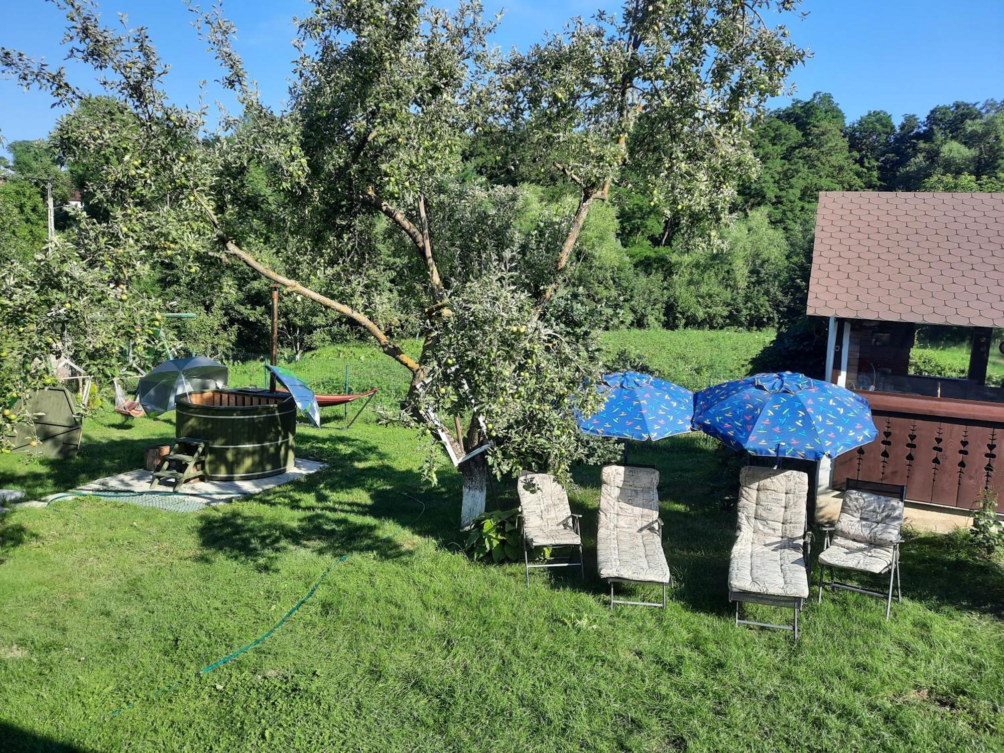 فيلا Casa Bunicilor Ciprian Porumbescu المظهر الخارجي الصورة